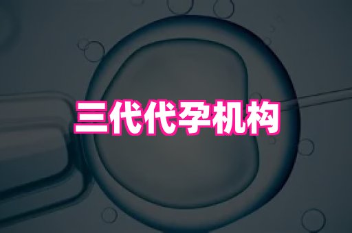 821孕网 4